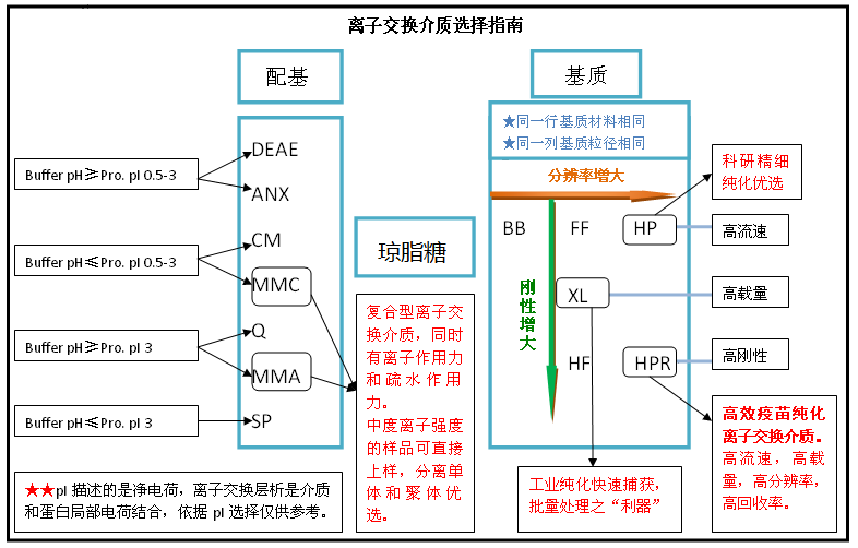 5d400d9aba6fb.png A2.png